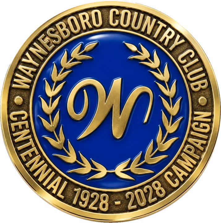 Enamel Color challenge coin example