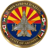 Medical Group Commander's Coin
